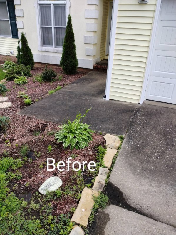 Before and after Driveway Cleaning